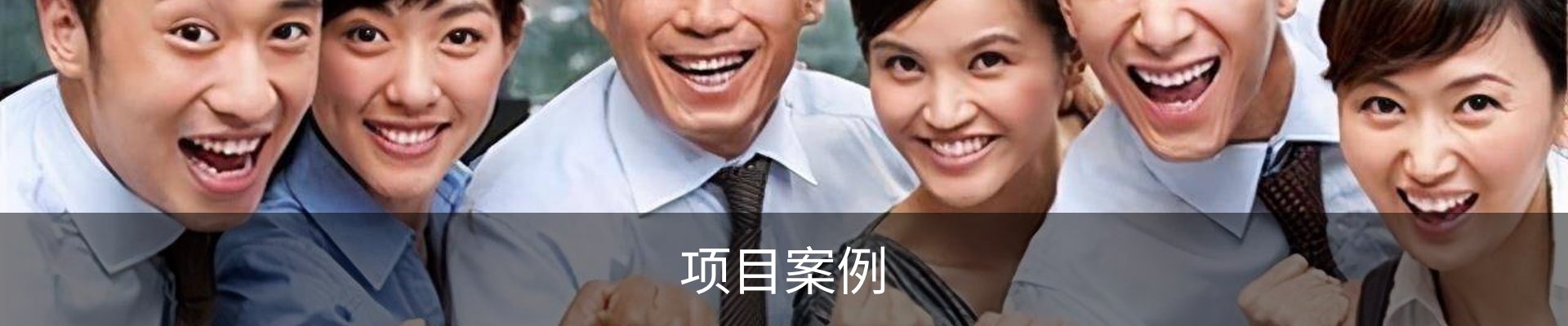 项目案例